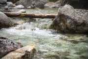 IMG_6220
